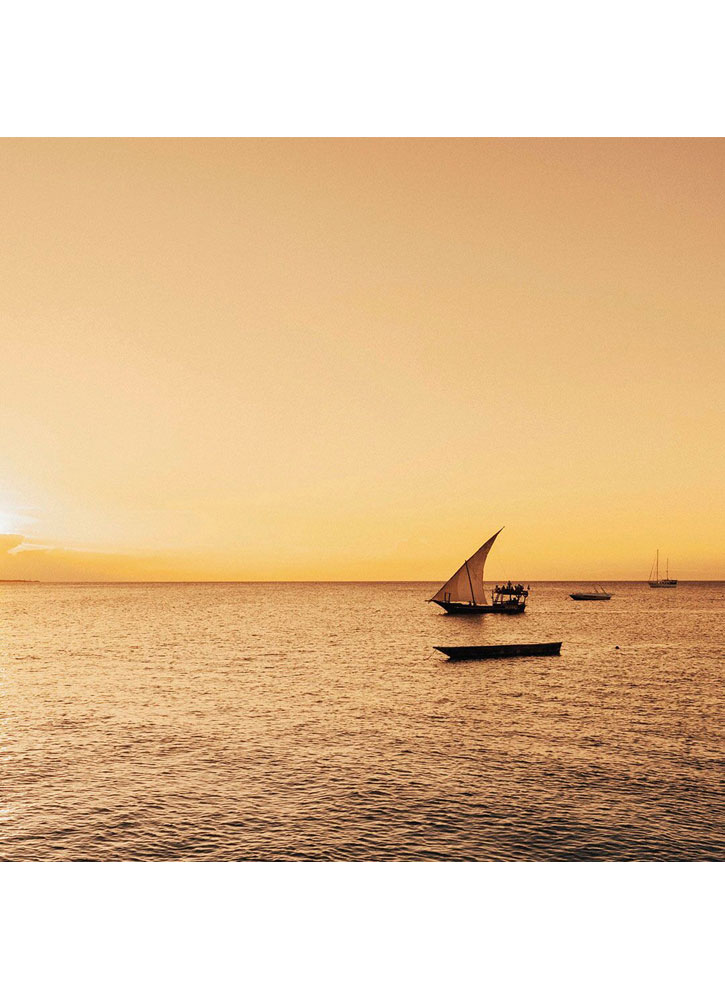 Масло сухое для лица, тела и волос PHYTOCEANE Zanzibar