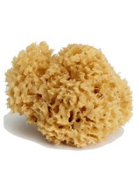 Морской спонж Marine Sponge